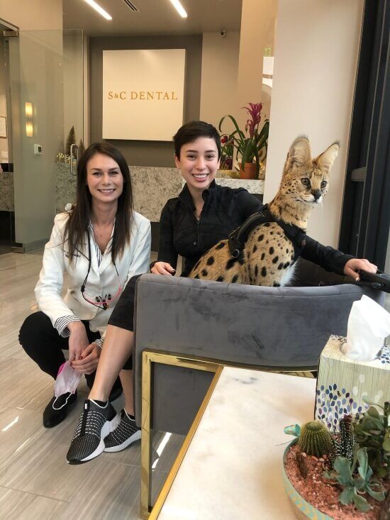 Cosmetic dentist with a girl and her cat in a dental office in Scottsdale, AZ