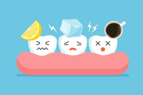 Cartoon teeth with different types of teeth